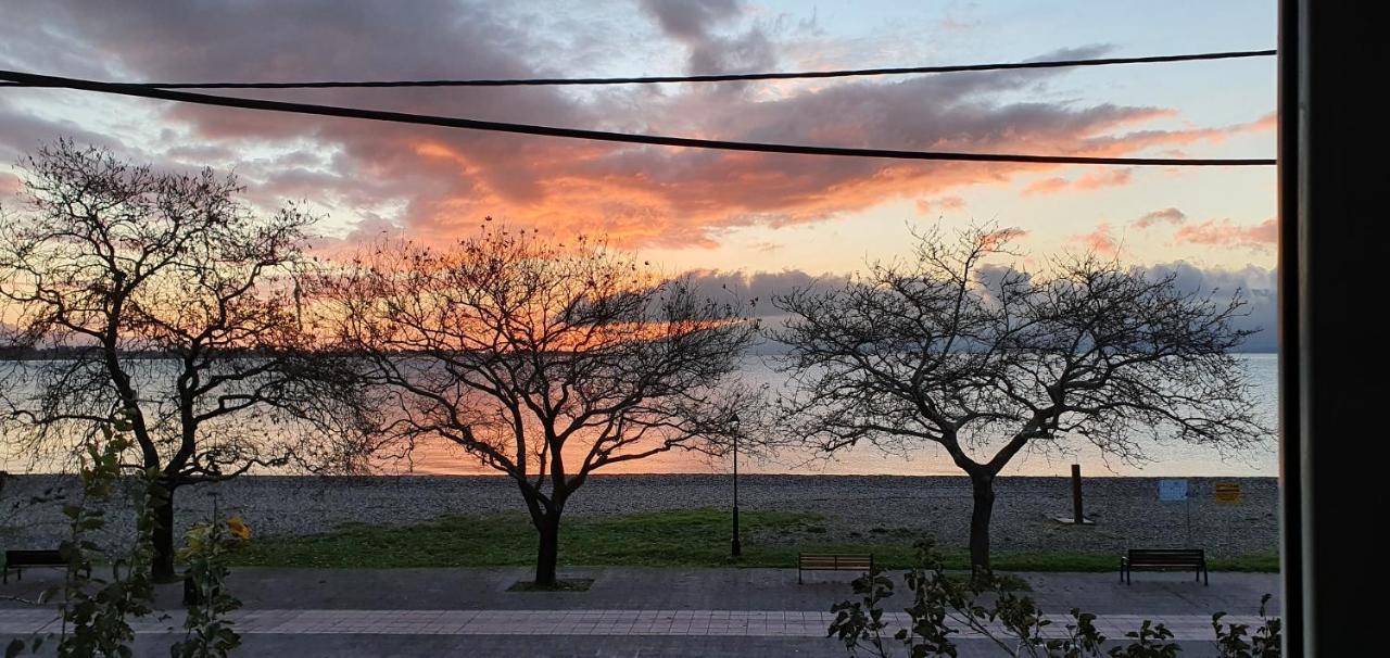 Nafpaktos Beach House Sea View Apartment First Floor מראה חיצוני תמונה